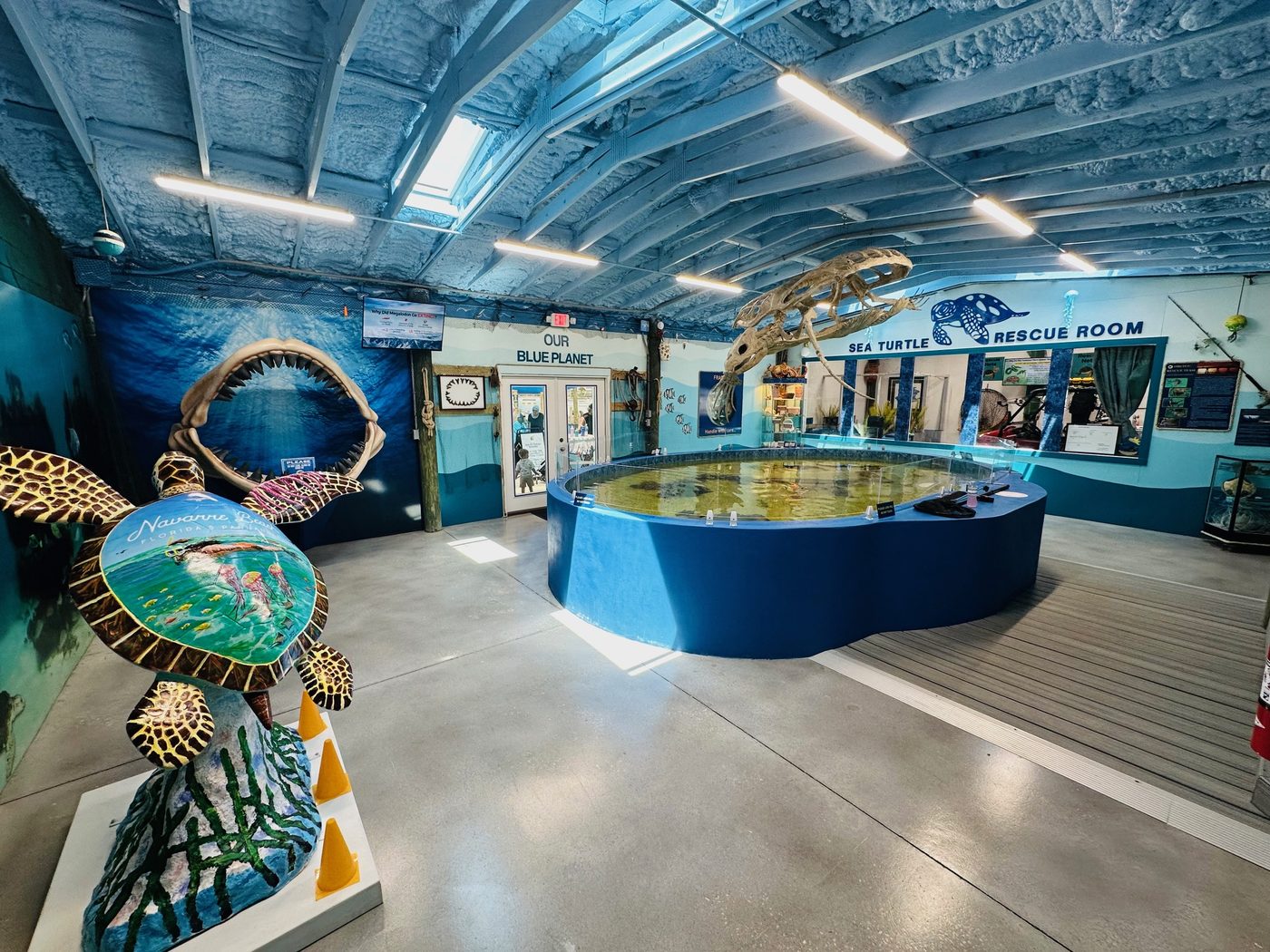 Sea turtle conservation center